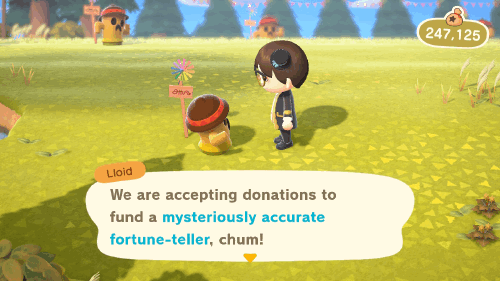 Animal Crossing New Horizons Katrina Plot