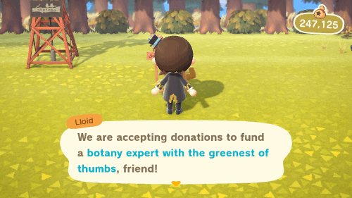 Animal Crossing New Horizons Leif Store