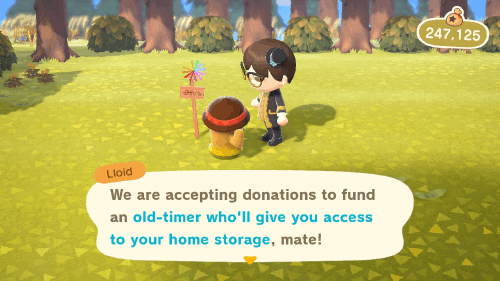 Animal Crossing New Horizons Tortimer