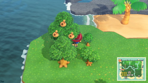 acnh money tree planting