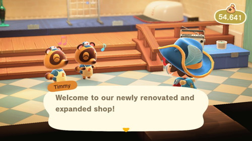 ACNH Nooks Cranny Renovation