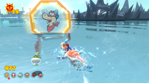 Bowser's Fury Lake Lapcat Cat Shine