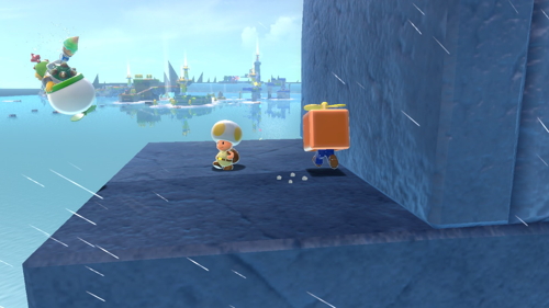 Bowser's Fury Lake Lapcat Cat Shine