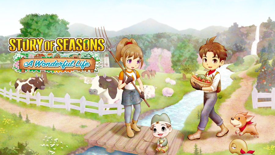 Story of Seasons: A Wonderful Life Switch