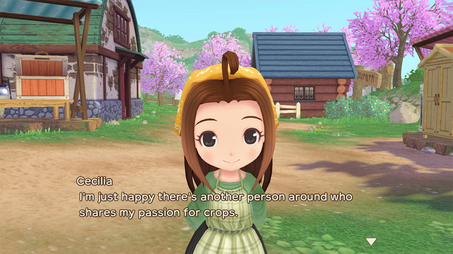 Story of Seasons: A Wonderful Life Switch