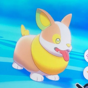 Pokemon Sword Shield Yamper